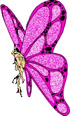 papillon rose