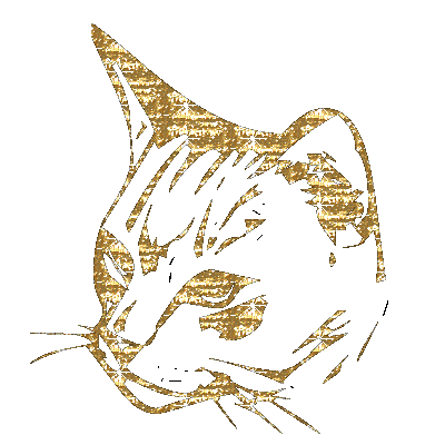 le chat