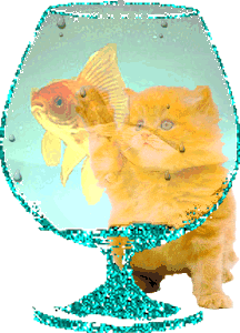 pauve poisson