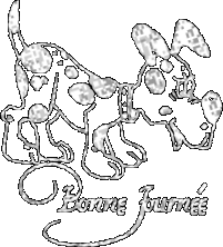 bonne
