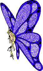 papillon bleu