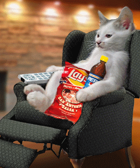 chat tele