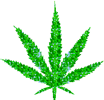 feuille