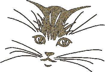 chat